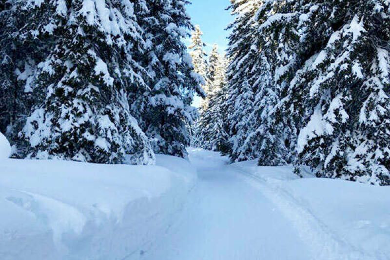 Winterlandschaft in Oberperfuss